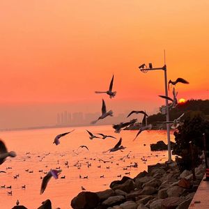 关婷娜真人裸体毛片HD AV
