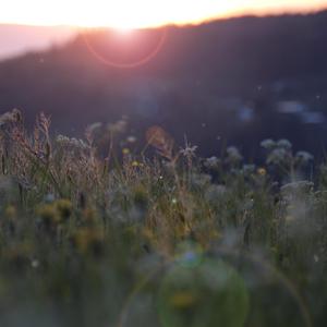 关婷娜真人裸体毛片HD AV
